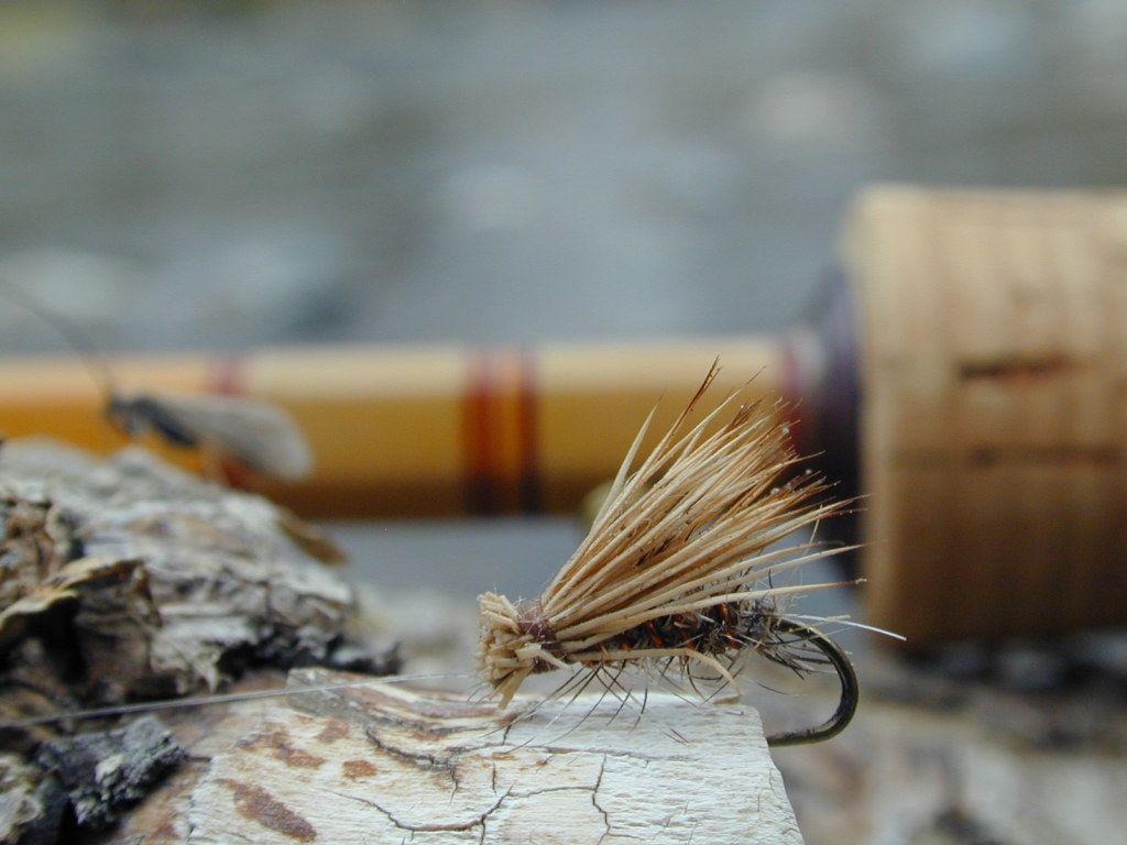Best dry flies for southern brook trout